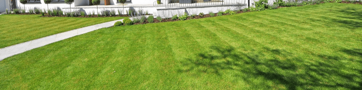 Garden lawn